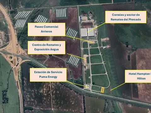 Terreno en Venta 40  mts Fondo