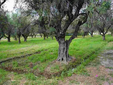 TERRENO DE 3.674,81 m2 EN RUTA 60, RUSSEL, MAIPÚ