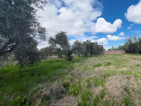 Venta lote 5.438 m2. cercano a il mercato maipú