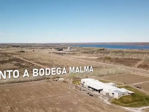 NODO LAS CORTADERAS | LOTE LS50