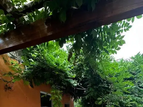 Campo en Venta Agrícola