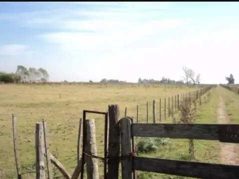 CAMPO