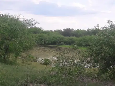 FORMOSA - Comandante Fontana al Sur  1950 has