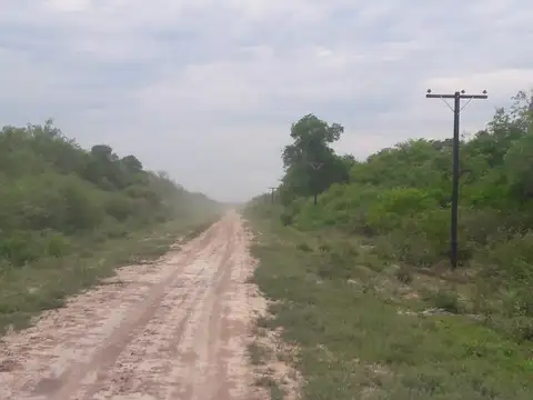 Campo ganadero 1950 has en funcionamiento