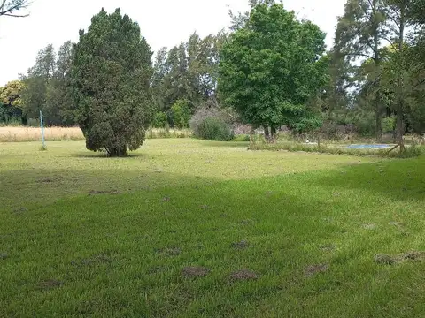 Venta Una Hectárea en Mercedes 