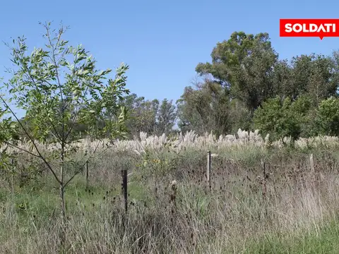 Lote, Villa astolfi
