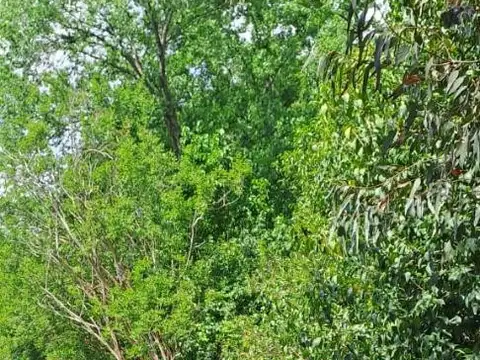 Casa en Venta al Noreste