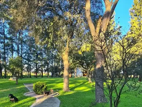 Matheu