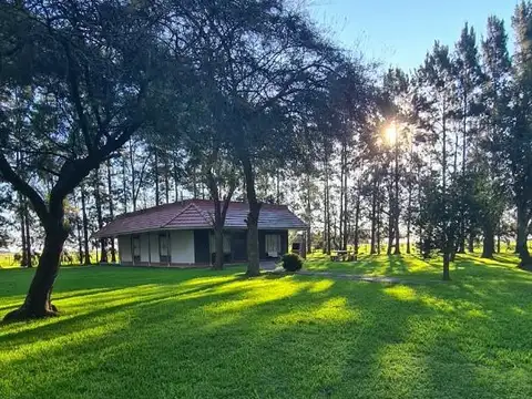 Campo en San Vicente