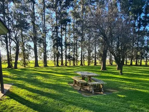 Campo en Venta de 392  ha