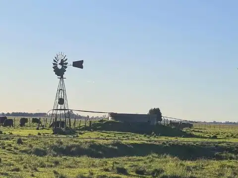 Campo en Venta de 392  ha