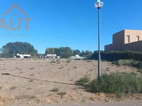 Canales de Plottier Lote 516
