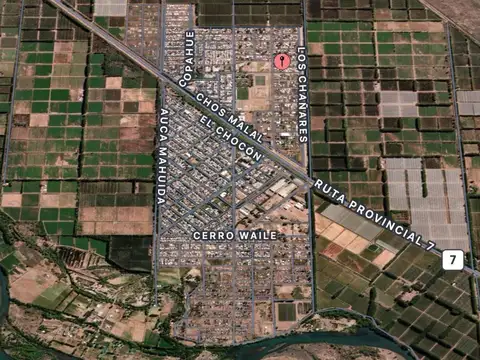 VENTA TERRENO SAN PATRICIO DEL CHAÑAR