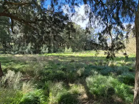 Terreno de 5390 m2 en zona Chacras de Canning. Ezeiza.