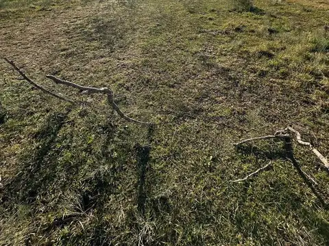 Terreno en Venta en Gowland, USD 18.000