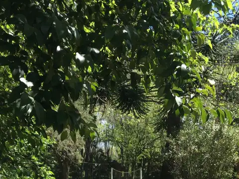 Quinta en Alquiler Temporal en Ezeiza, Partido de Ezeiza