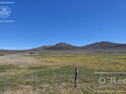 Campos y chacras en  venta en la Patagonia Argentina