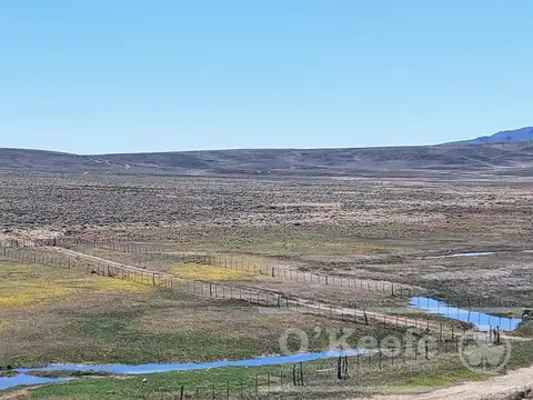 Campos y chacras en la Patagonia