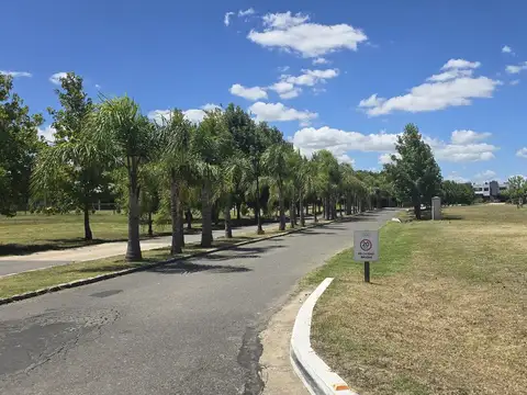 Terreno en Chateau Pilar