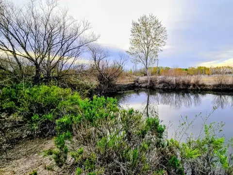 Terreno en Venta de 2144,0 m2