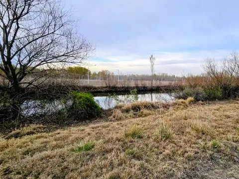 Terreno en Venta en Plottier, USD 139.447