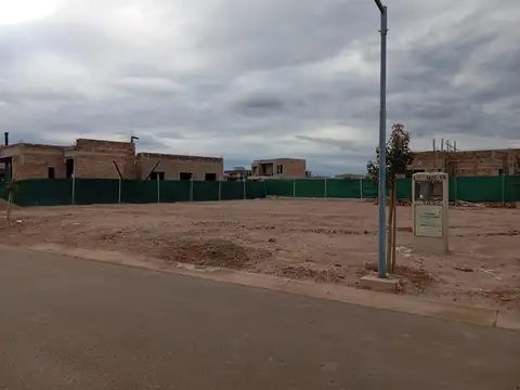 juan isidro maza 100