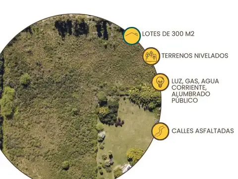 EL NUEVO ENCANTO