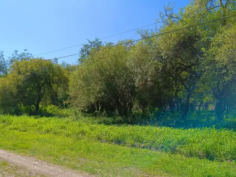 Terreno en Venta en Los Alisos, USD 15.000