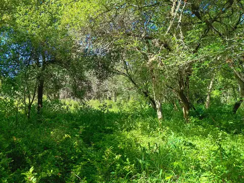 Terreno en Venta de 2802,0 m2