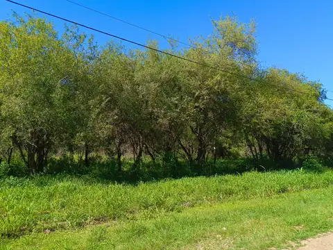 Terreno en Venta 40  mts Frente