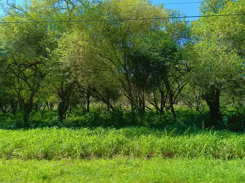Terreno en Venta 70  mts Fondo