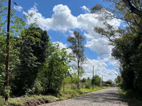 Terreno en Venta 21  mts Fondo