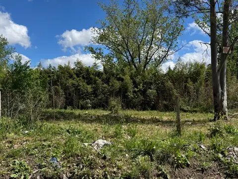 Terreno en Venta de 670,0 m2