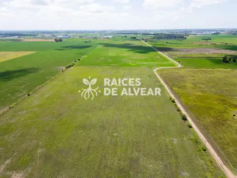 Terreno en Venta 10  mts Frente