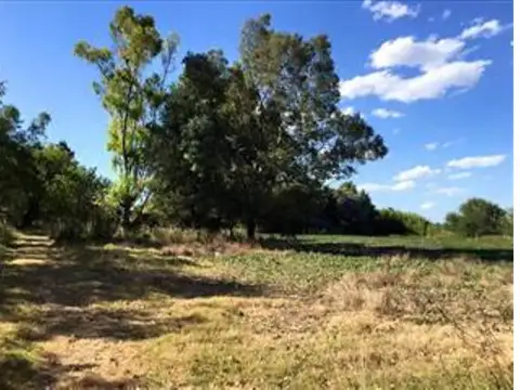 Terreno en Venta en Zarate, USD 2.000.000