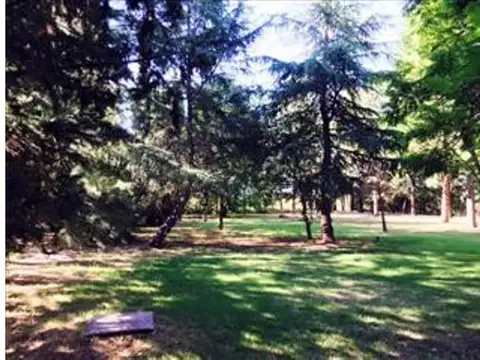 Terreno en Venta 