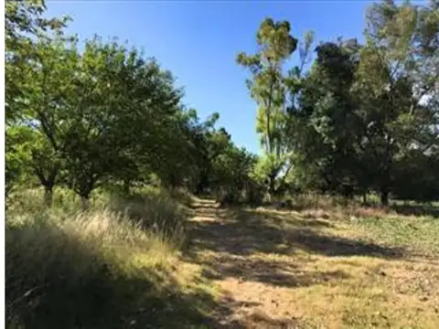 Camino A La Costa Brava