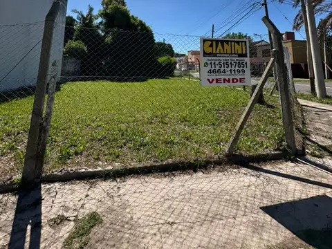 Italia 300
