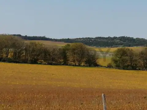 Campo en Venta de 11  ha