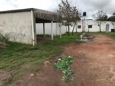 Tratado Del Pilar