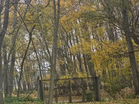 Campo en Venta Granja