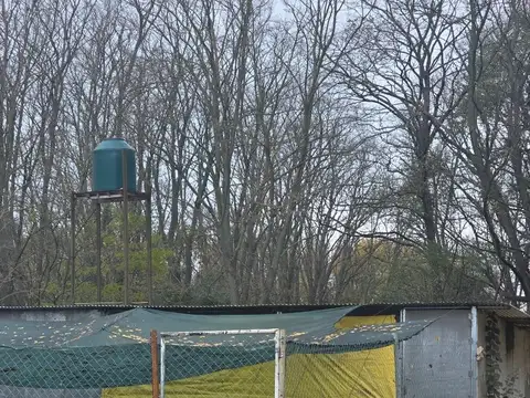 Viva en el Campo, Gane como una Empresa: Chacra Tandil