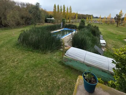 Viva en el Campo, Gane como una Empresa: Chacra Tandil