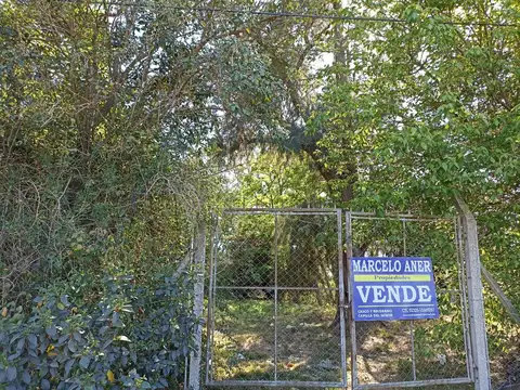 LOTE DE 1616 M2. MUY ARBOLADO CON ALAMBRADO OLIMPICO Y PORTON. 