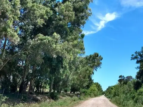 Acceso A Playa Municipal Y Rio