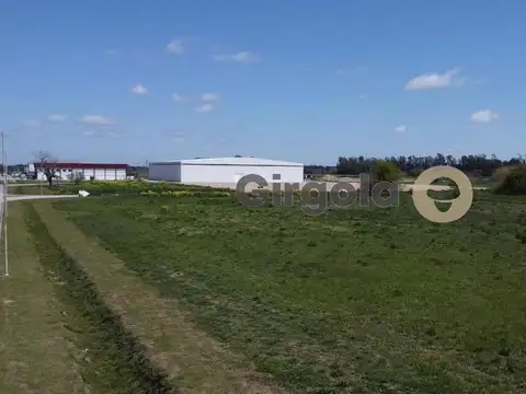 Ruta Provincial 24 y 100