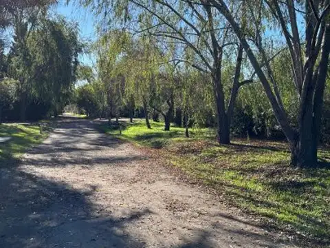 Terreno en Venta 37  mts Fondo