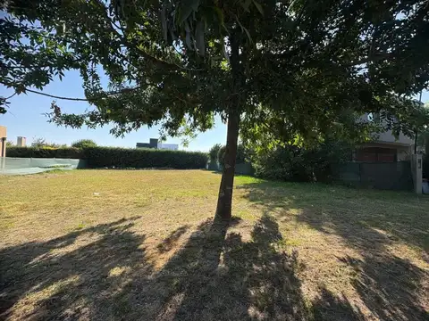 Altos Del Casco, Lote 100