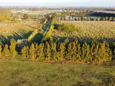 Terreno en Venta de 1000,0 m2