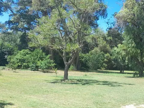 Terreno en Venta de 2000,0 m2